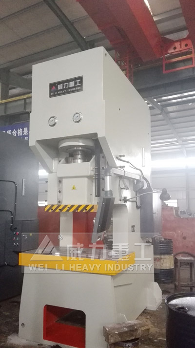 250噸伺服液壓沖床廠家實(shí)景2